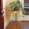 Jasmine In Filigree Plant Stand