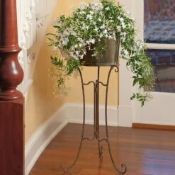 Jasmine In Filigree Plant Stand