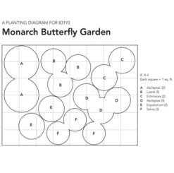 Monarch Butterfly Perennial Garden -Verdelyn Sales x600 10921