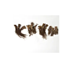 Wings Over Water Siberian Iris Collection -Verdelyn Sales x600 12689