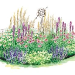 Tough As Nails Deer-Resistant Garden For Sun 12 Tough As Nails Deer-Resistant Garden For Sun -Verdelyn Sales x600 14964