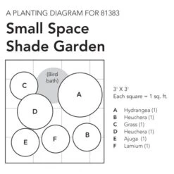 Small Space Shade Garden -Verdelyn Sales x600 18079