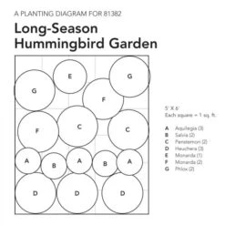 Long-Season Hummingbird Garden 16 Long-Season Hummingbird Garden -Verdelyn Sales x600 18080