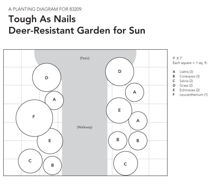 Tough As Nails Deer-Resistant Garden For Sun 10 Tough As Nails Deer-Resistant Garden For Sun - Image 10