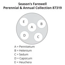 Season's Farewell Collection -Verdelyn Sales x600 23132