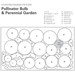 Pollinator Bulb & Perennial Garden -Verdelyn Sales x600 23754