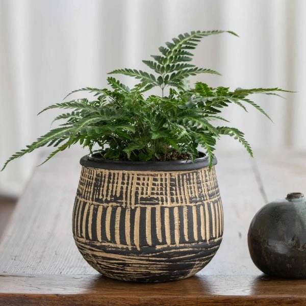 Pemba Cachepot 2 Pemba Cachepot - Image 2