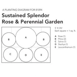 Sustained Splendor Rose & Perennial Garden -Verdelyn Sales x600 26068