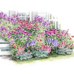 Long-Season Hummingbird Garden 13 Long-Season Hummingbird Garden -Verdelyn Sales x600 27416