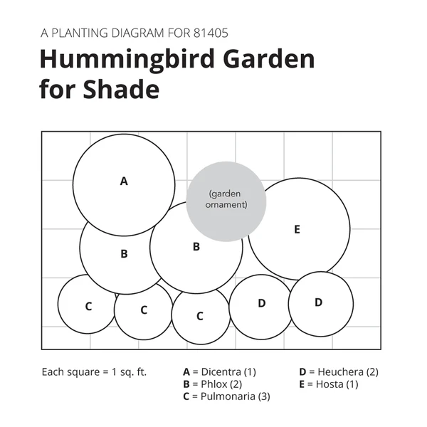 Hummingbird Garden For Shade 7 Hummingbird Garden For Shade - Image 7