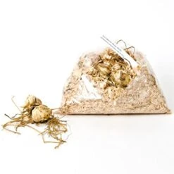 Lilium Mix - The Perfumed Garden