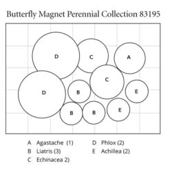 Butterfly Magnet Perennial Collection 13 Butterfly Magnet Perennial Collection -Verdelyn Sales x600 32077