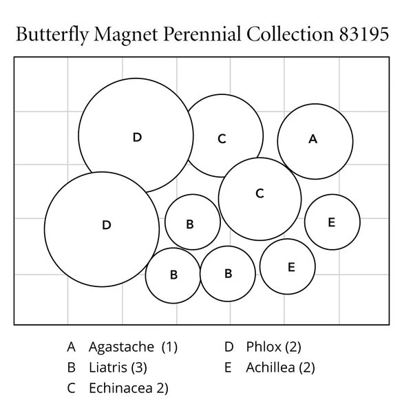 Butterfly Magnet Perennial Collection 7 Butterfly Magnet Perennial Collection - Image 7
