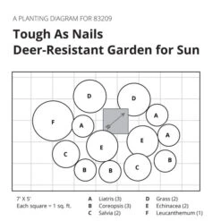 Tough As Nails Deer-Resistant Garden For Sun 18 Tough As Nails Deer-Resistant Garden For Sun -Verdelyn Sales x600 32083
