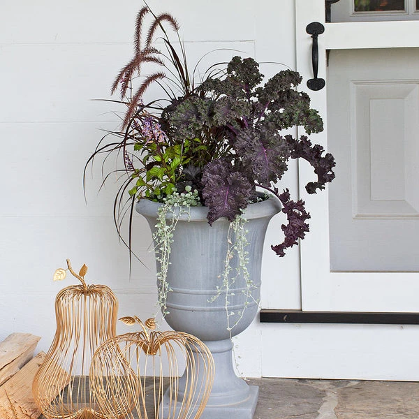 Harvest Moon Fall Collection 1 Harvest Moon Fall Collection