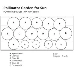 Pollinator Garden For Sun 17 Pollinator Garden For Sun -Verdelyn Sales x600 37399