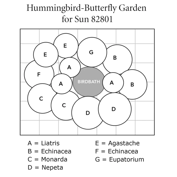 Hummingbird-Butterfly Garden For Sun 9 Hummingbird-Butterfly Garden For Sun - Image 9