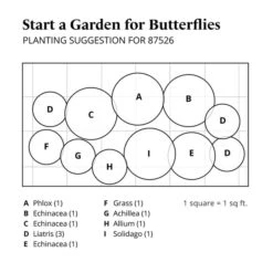 Start A Garden For Butterflies -Verdelyn Sales x600 37680