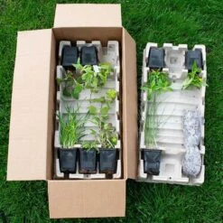 Start A Garden For Butterflies -Verdelyn Sales x600 38179